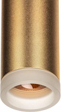 Трековый светильник однофазный 220V Ritter Artline 59714 2