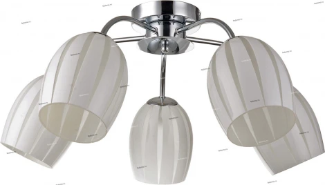 Потолочная люстра Lussole Brindisi LSF-6703-05