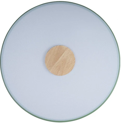 Потолочный светильник круглый Loft IT Axel 10003/24 Green (LED, 220V, круглые)