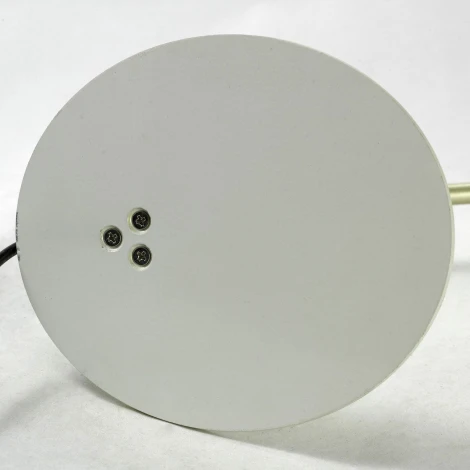 Офисная настольная лампа Lussole Loft Roma GRLST-4374-01 (220V, выключатель, IP21)