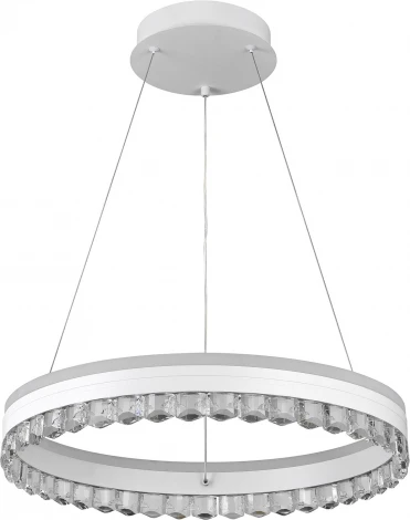 Подвесной светильник светодиодный Natali Kovaltseva Sad Queen INNOVATION STYLE 83129 PETEROLJA с пультом ДУ, моб. приложением 120W, белый, LED