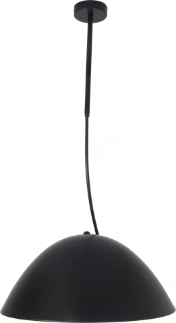 Подвесной светильник Zortes Korkee ZRS.1802.50 (220V, IP21)