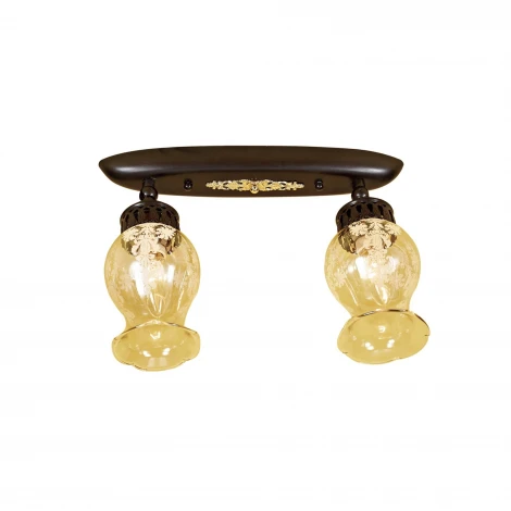 Потолочный светильник круглый Citilux Метафора CL413121 (220V)