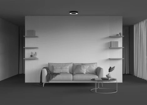 Потолочный светильник круглый светодиодный Maytoni Lua C093CL-24W3K-B (220V, круглые)