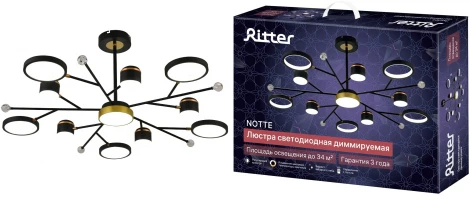 Потолочная люстра на штанге светодиодная Ritter Notte 51596 2