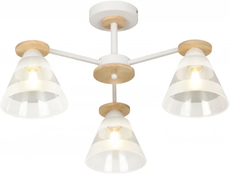 Потолочная люстра на штанге Rivoli Theothila 9177-303