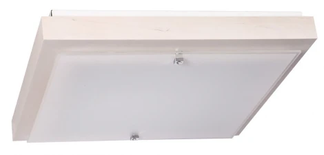 Настенно-потолочный светильник Дубравия Полина 106-11-24/2