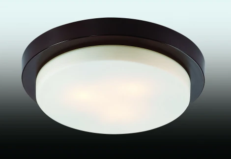 Настенно-потолочный светильник Odeon Light Holger 2744/3C
