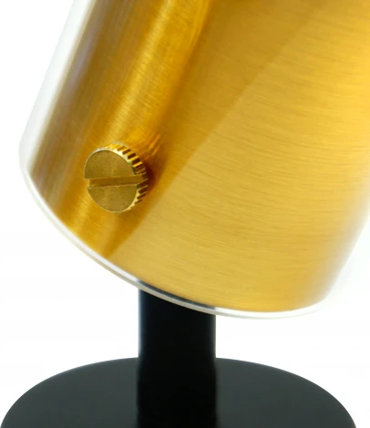 Спот настенно-потолочный Feron ML 1891 LUMINA 48746 GU10, золото, черный (220V, круглые)