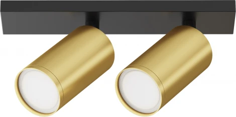 Потолочный светильник FOCUS S GU10 2x10Вт Maytoni Technical C051CL-U-02BMG (220V, круглые)