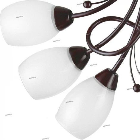 Toscom Natali TC-995-005