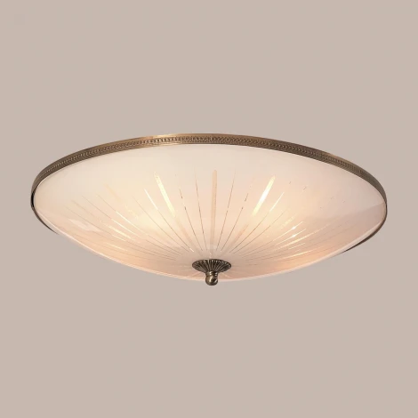 Потолочный светильник Citilux 912 CL912501