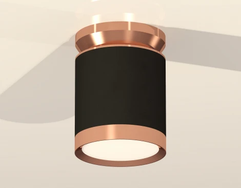 Накладной точечный светильник Ambrella Techno Spot XS8142035 (220V, круглые)