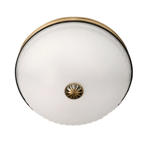 Потолочный светильник MW-Light Ангел 295013503