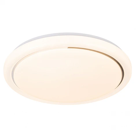 Потолочный светильник Escada 10227/SG LED APP 48W White