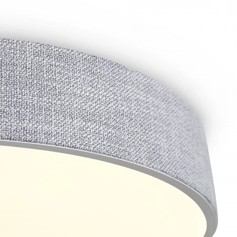Потолочный светильник круглый Freya Ruler FR5555CL-L30BGG (LED, 220V)