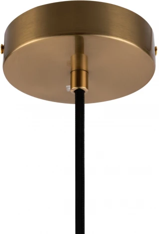 Подвесной светильник Freya Zelma FR8012PL-01BS