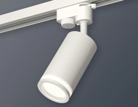 Трековый светильник Ambrella Track System XT6322100 (220V, круглые)