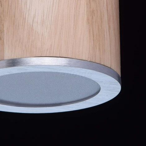 Подвесной светильник DeMarkt Фленсбург 609011901