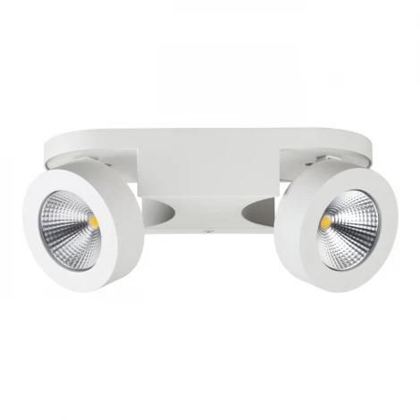 Спот Odeon Light Laconis 3538/2WL