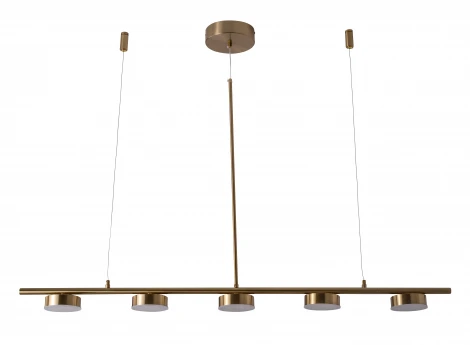 Подвесной светильник Zortes Lory ZRS.1055.05 (LED, 220V, на тросе)