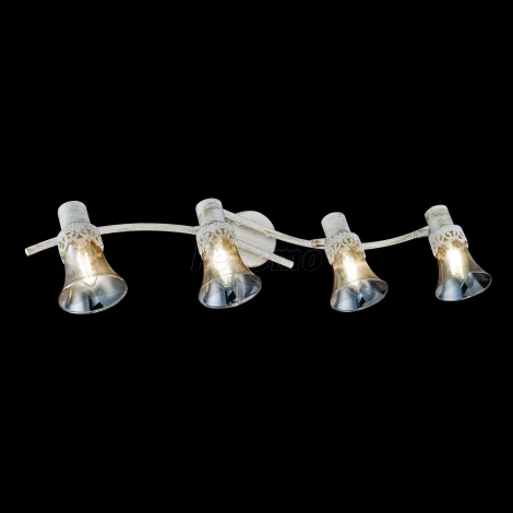 Спот Freya Susana FR7002WL-04WG