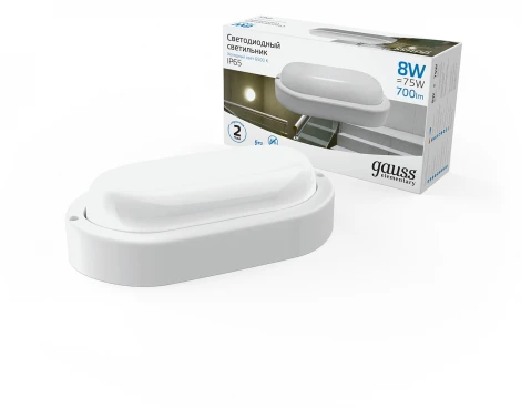 Настенно-потолочный светильник Gauss Elementary 161411308