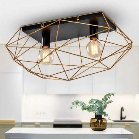 Светильник потолочный Roxana 4097-312 2 х Е27 40 Вт