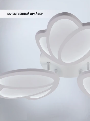 Потолочная люстра Seven Fires Nekolli SF5042/3C-WT