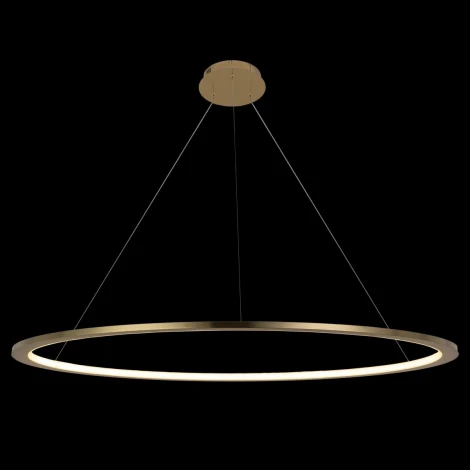 Подвесной светильник Loft IT Ring 10014XXL (LED, 220V, на тросе, кольцо)