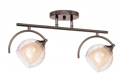 Потолочная люстра Silver Light Sfera 255.59.2