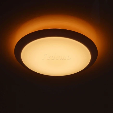 Потолочный светильник MW-Light Ривз 674014101