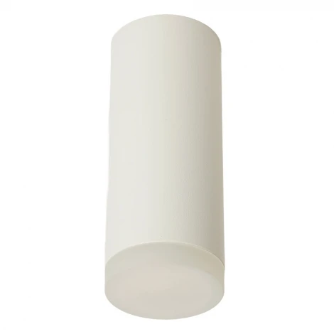 Светильник потолочный накладной Feron ML102 51389