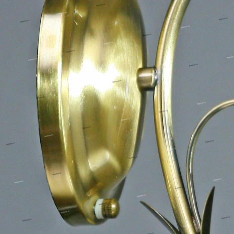 Brizzi Tarragona MA02640W/001 Bronze