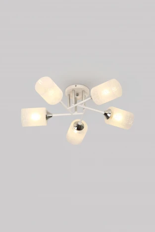 Потолочная люстра на штанге Rivoli Federica 9178-305