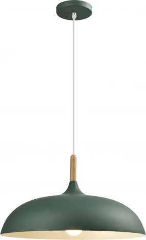 Подвесной светильник Moderli Hygo V11453-1P