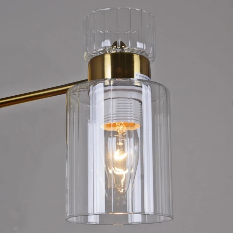 Потолочная люстра на штанге Reluce 05570-0.3-08