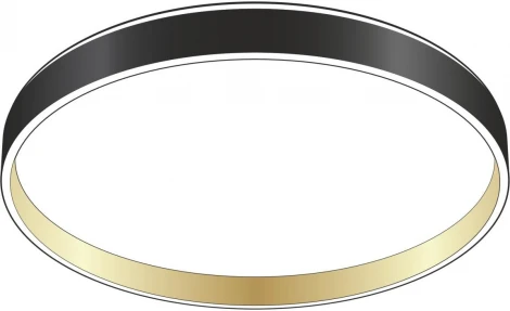 Потолочный светильник RGB круглый светодиодный с пультом Citilux Enzo CL753451G (220V, круглые)