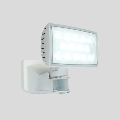 Прожектор уличный Oasis Light Projeсtor W6295