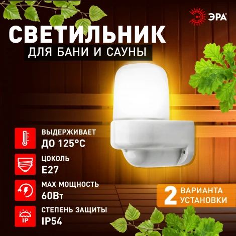 Настенный светильник влагозащищенный ЭРА НББ 01 НББ 01-60-003