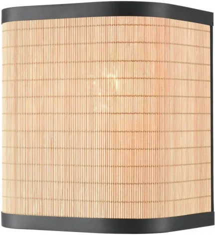 Настенный светильник Velante 568-711-01 (220V)