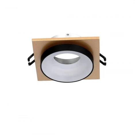 Встраиваемый точечный светильник Favourite Diversa 2887-1C (220V)