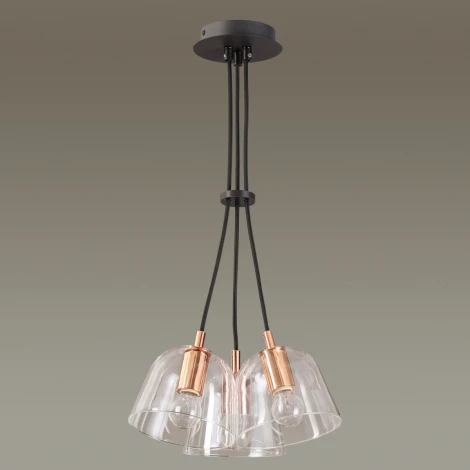 Подвесная люстра Lumion Joseph 4455/3