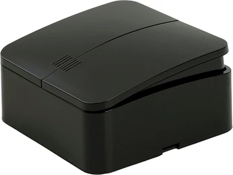 Выключатель двухклавишный с подсветкой (черный) Stekker София 49294