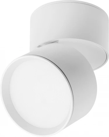 Накладной потолочный светильник Lightstar Acuto 215836 (LED, 220V, круглые, IP44)