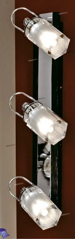 Настенно-потолочный светильник Lussole Abruzzi LSL-7901-03