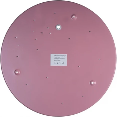 Потолочный светильник круглый Loft IT Axel 10003/24 Pink (LED, 220V, круглые)