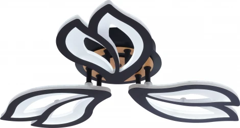 Потолочная люстра светодиодная Rivoli Lana 6195-703 LED 3000-6250К 60 Вт с пультом