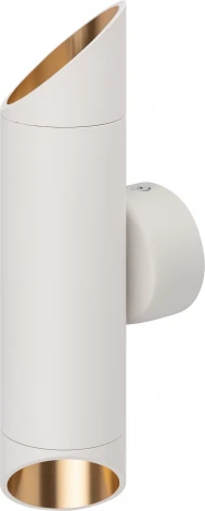 Настенный светильник ЭРА WL52 WH/GD (220V)