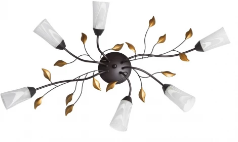 Потолочная люстра MW-Light Восторг 242015206